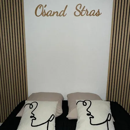 O Sand Stras Studio 25M Carre Strasbourg Exterior photo